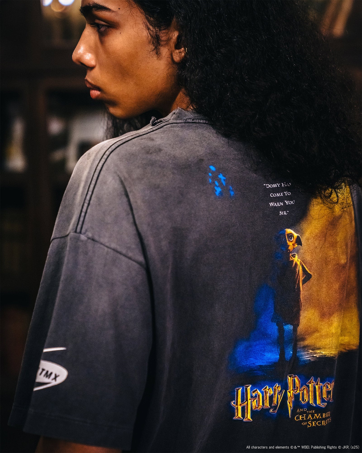Saint Michael Harry Potter and the Chamber of Secrets Graphic T-Shirt