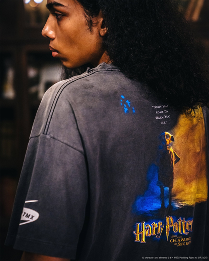 Saint Michael Harry Potter and the Chamber of Secrets Graphic T-Shirt