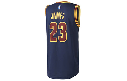 adidas Cleveland Cavaliers James Swingman Jersey
