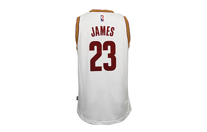 adidas Cleveland Cavaliers James Jersey